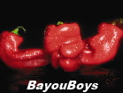 BayouBoys
